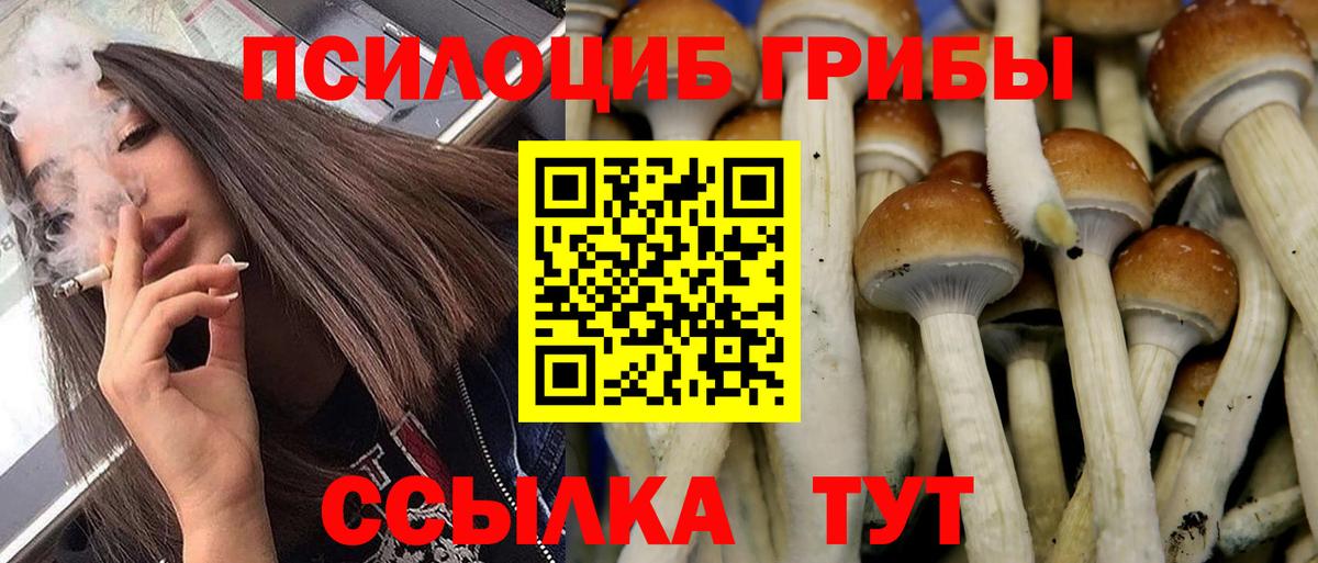 Североморск  Галлюциногенные грибы ЛСД  Вход с VPN 