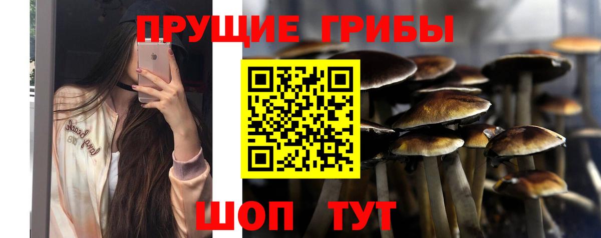 Псилоцибиновые грибы MAGIC MUSHROOMS Североморск